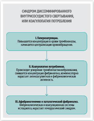 причины матки кувелера